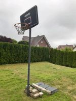 Basketballkorb Herzogtum Lauenburg - Ratzeburg Vorschau