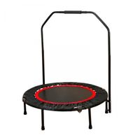 Fitness Jumping Sport Mini Trampolin mit Griff Indoor Bergedorf - Hamburg Altengamme Vorschau