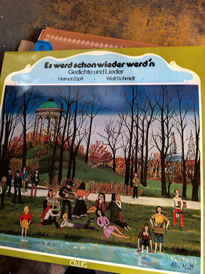 Verkaufe 45 verschiedene Schallplatten in Mühlhausen i.d. Oberpfalz