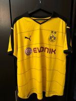 Borussia Dortmund Trikot Schmelzer Niedersachsen - Sehnde Vorschau