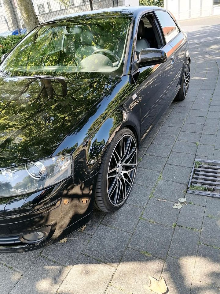 Audi A3 8P in Lippstadt