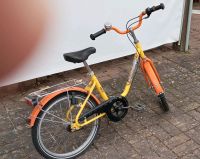 Kinder Fahrrad 20 Zoll Niedersachsen - Staufenberg Vorschau