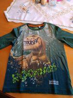 Dino- Shirt, Gr 116 Langarm Bayern - Eching (Niederbay) Vorschau