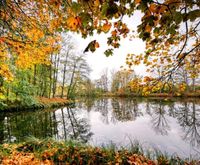 Suche Grundstück mit Weiher, Bach oder Quelle. Rheinland-Pfalz - Wallhalben Vorschau