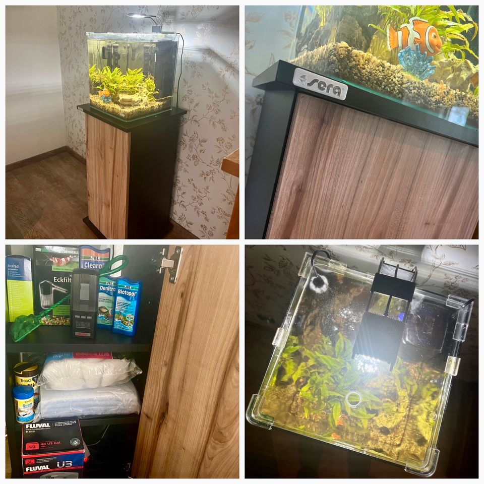 Dennerle Mini- Aquarium Set Nano Cube mit Schrank & Zubehör in Dornburg