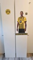 2 Ikea Billy Türen Ottebol BVB 09 Borussia Dortmund Dortmund - Asseln Vorschau