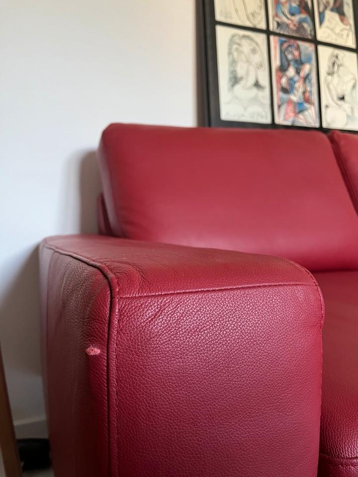 Nappaleder Couch/Sofa Rot Segmüller inkl. Kaufbeleg *Top Zustand* in Münster
