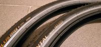 Continental Contact Plus City MTB Reifen 26x1,75 47 x 559 Sachsen - Limbach-Oberfrohna Vorschau