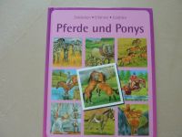 Pferde und Ponys Buch Niedersachsen - Wolfsburg Vorschau