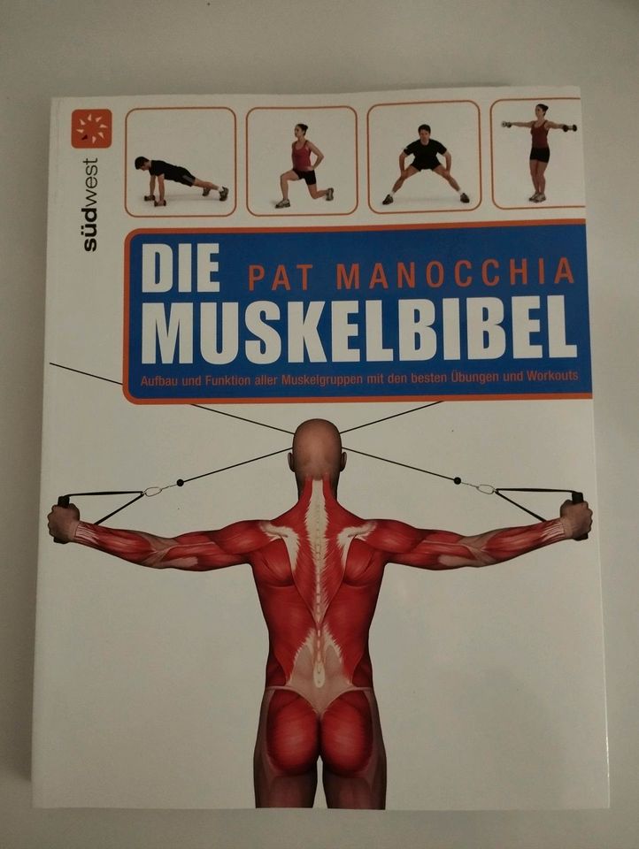 Die Muskelbibel von Par Manocchia Buch in Augsburg