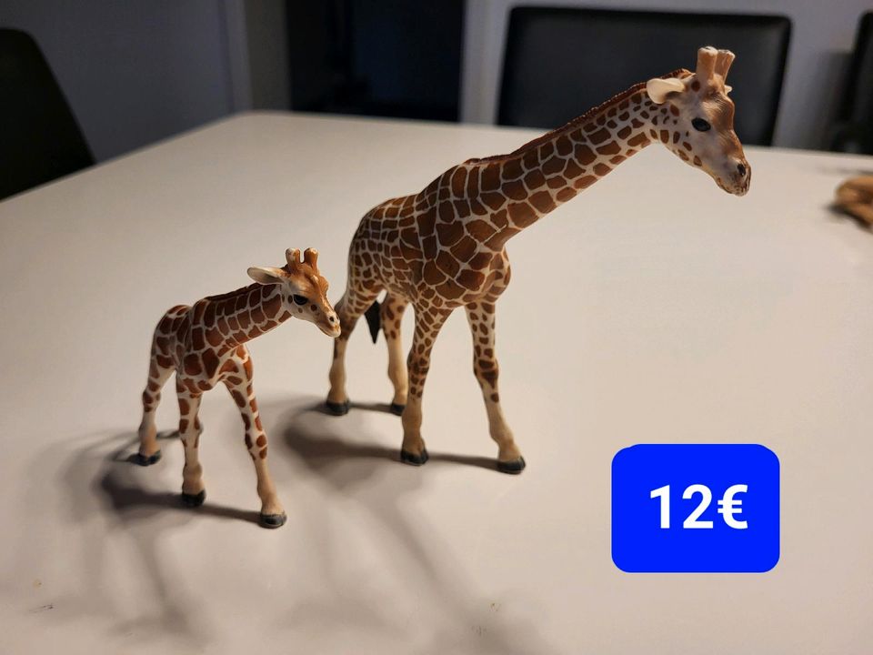 Schleich -Tiere und Figuren, Zubehör in Diez