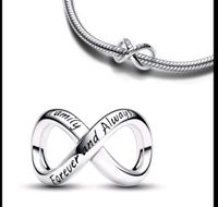 Pandora Charms Silber 925 Bayern - Fürstenfeldbruck Vorschau