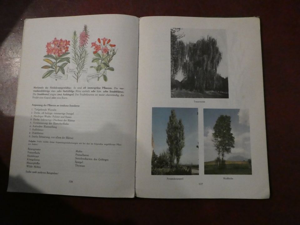 Pflanzenkunde Buch von 1966 10. Auflage in Dortmund