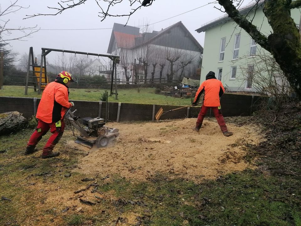 Baumpflege Baumfällung Gartenarbeit Grundstückspflege in Oberthal