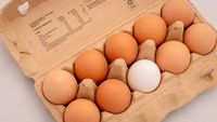 200 Eier aus Freilandhaltung Schwarzatal - Mellenbach-Glasbach Vorschau