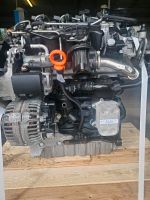 VW 1.6TDI CAY Motor BJ. 2012 komplett Brandenburg - Nauen Vorschau