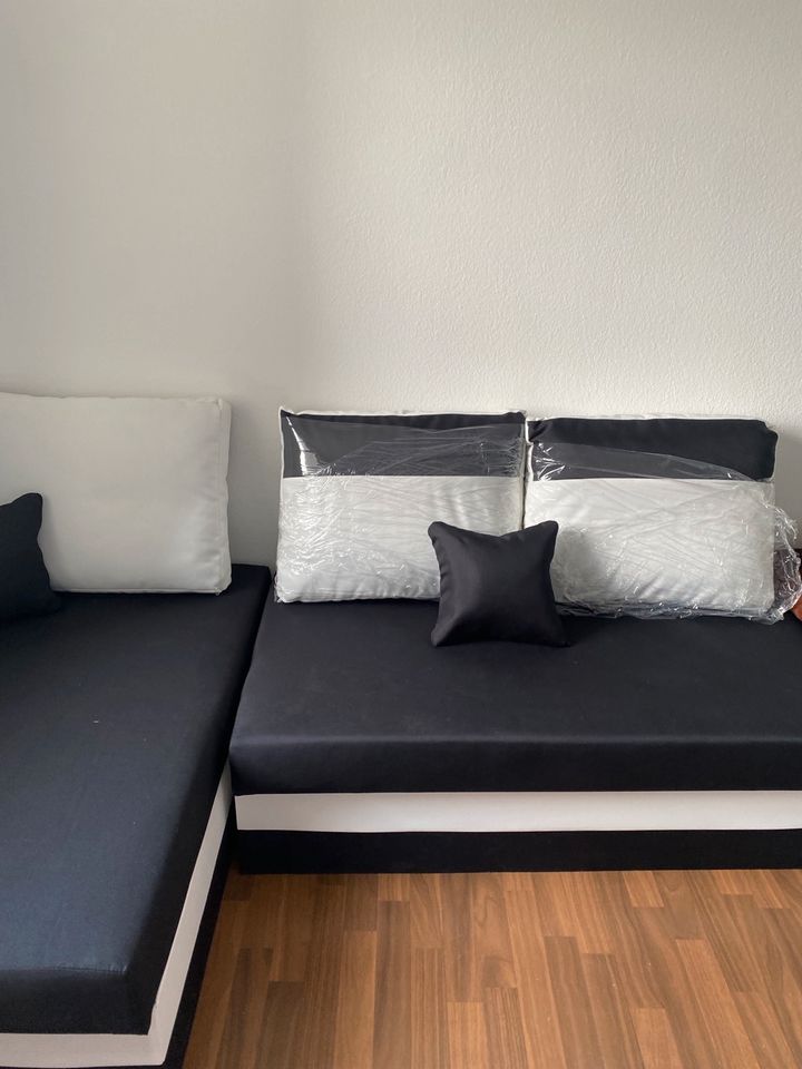 Couch mit Schlaffunktion in Frankfurt am Main