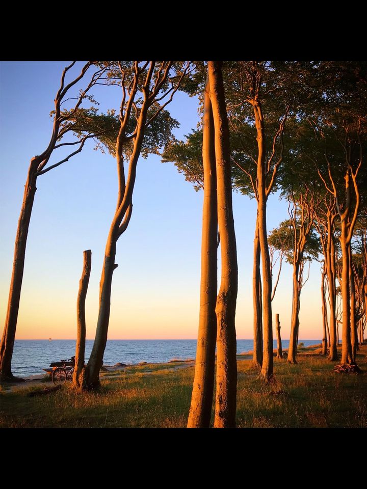 Ferienwohnung Bad Doberan - Ostsee - Ostern frei in Bad Doberan