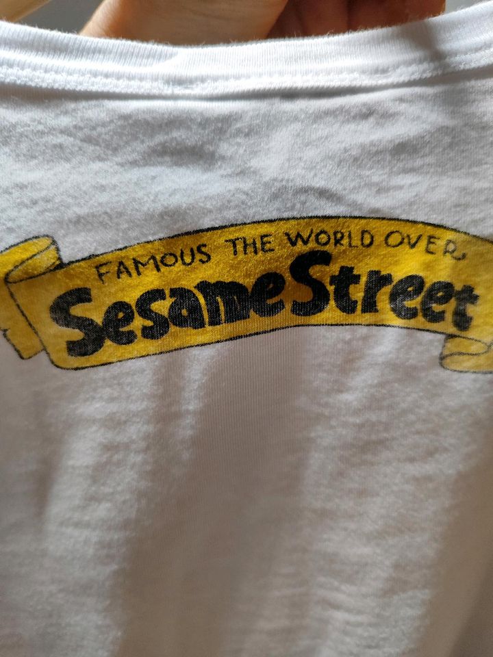 ❤️Zara T-Shirt Damen Sesame street❤️s in Römerberg