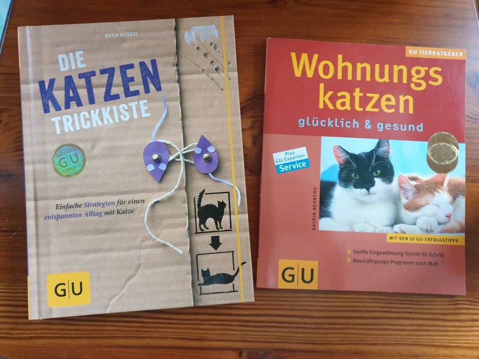 Zubehör Katzen, Bücher, Spielzeug, Bürsten, Leine in Hanstedt