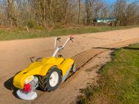 Sandreinigungsmaschine, Sand Sieb, Ondina mobil Rheinland-Pfalz - Oberelbert Vorschau