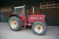 Case IH IHC 1455 Allrad Schlepper Cockpit Kabine 1255 XL Nordrhein-Westfalen - Borken Vorschau