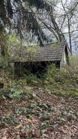 Lost im Wald - Grundstück im Wald zu verpachten Nordrhein-Westfalen - Kürten Vorschau