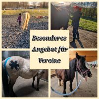 Pferdeosteopathie | Pferdephysiotherapie für Schulpferde Sachsen - Lengenfeld Vogtland Vorschau