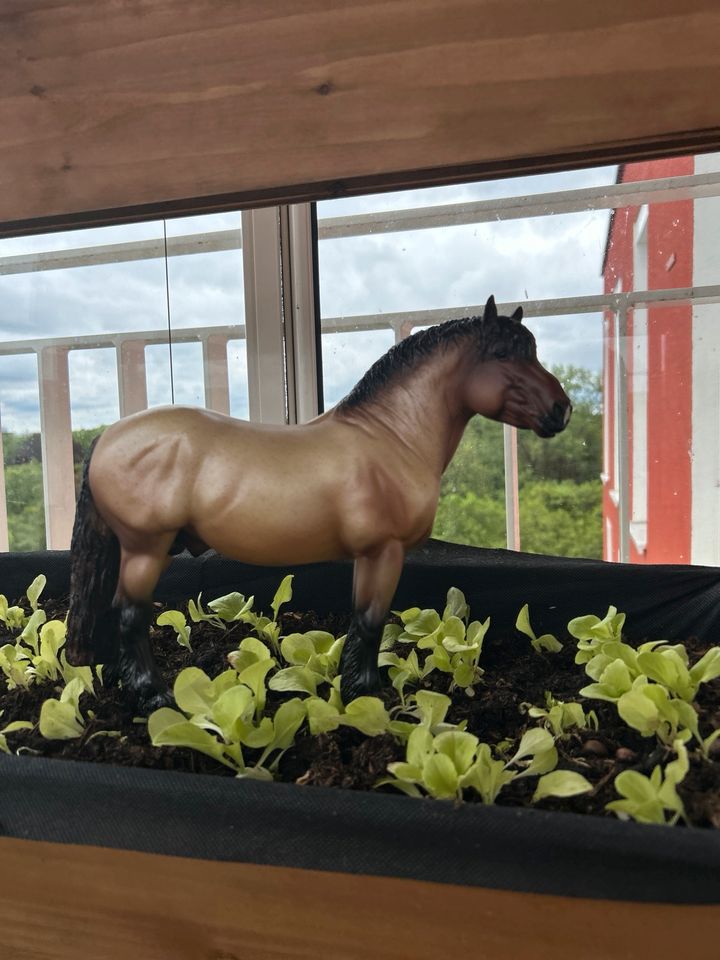 Breyer Modellpferd Traditional : Theo - Draft Horse / Kaltblut in München