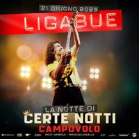 4x TICKETS LIGABUE CAMPOVOLO 21.06.2025 Baden-Württemberg - Lahr (Schwarzwald) Vorschau