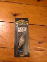 Deps Crankbait no evergreen Illex megabass Hamburg-Nord - Hamburg Barmbek Vorschau