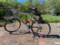 Fahrrad Herren 26 Zoll Trekking Brandenburg - Löwenberger Land Vorschau