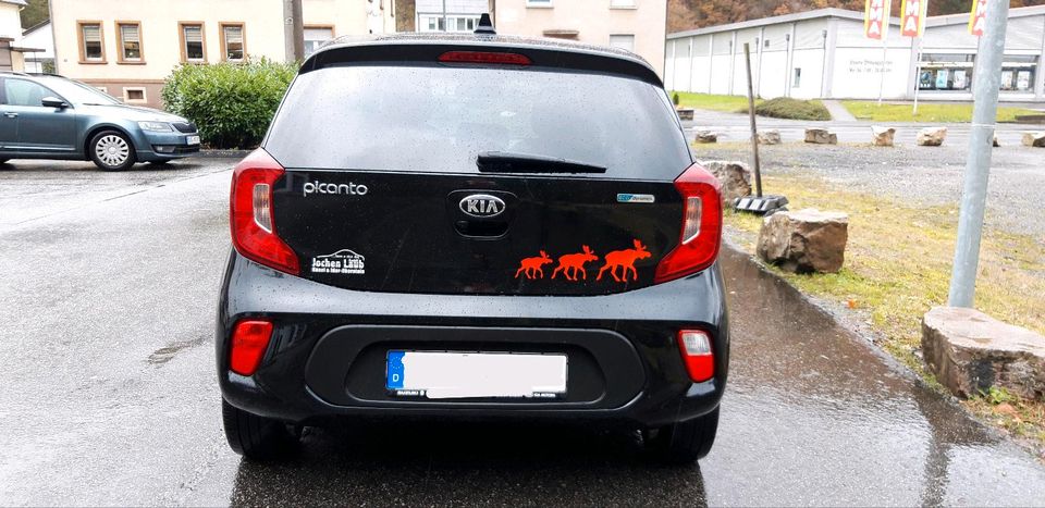 Kia Picanto 1.2 Dream Team ADA Navi in Allenbach