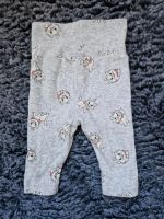 Aristocats  Hose Marie Größe 62 grau H&M Nordrhein-Westfalen - Bottrop Vorschau