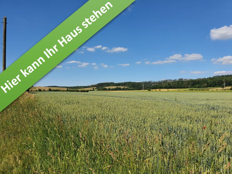 Ein Bungalow, der begeistert im kommenden Baugeb. in Münchehof. in Seesen