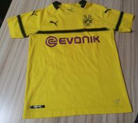 BVB Tricot Kinder Sachsen - Radebeul Vorschau