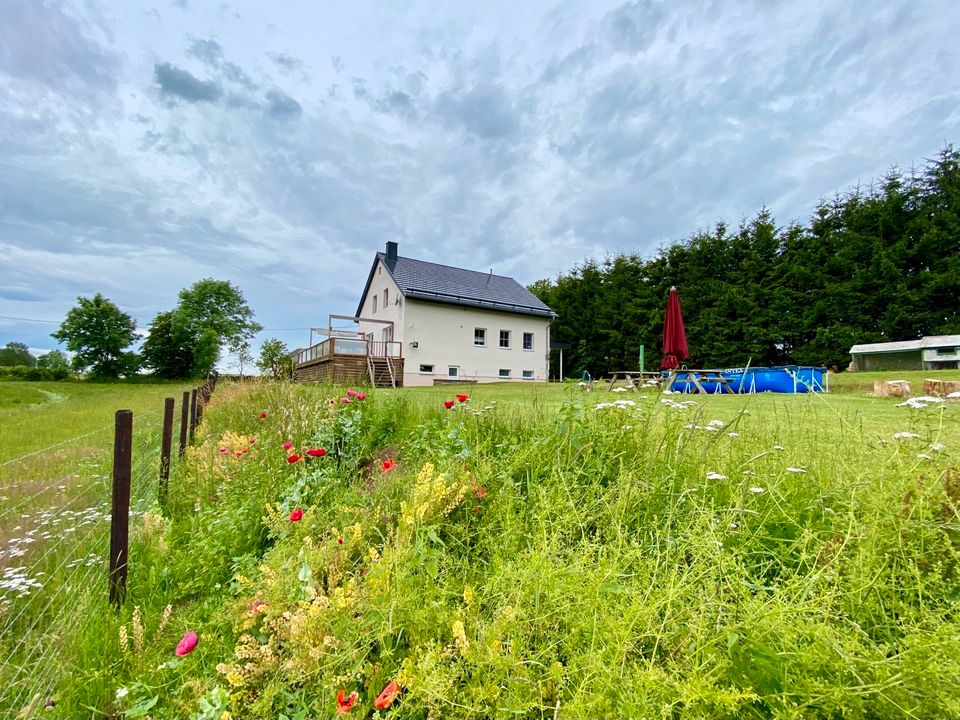 Ferienhaus | 2-14 Personen | Urlaub | Eifel | Pool | Kamin in Auw bei Prüm