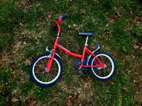 Tolles Kinder Fahrrad Spiderman unisex rot blau Thüringen - Neuhaus Vorschau