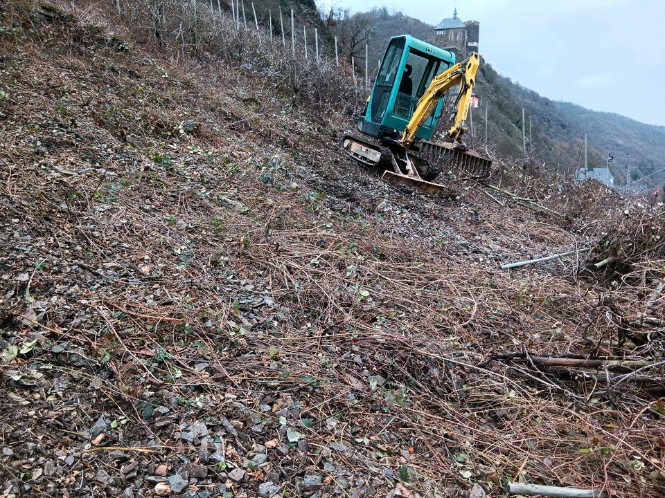 Gartenbau/Baggerarbeiten/Gestaltung/Ausschachtung in Rhens