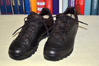 Lowa Pinto Trekkingschuhe LL LO WS Espresso Gr. 38 Altona - Hamburg Altona-Altstadt Vorschau