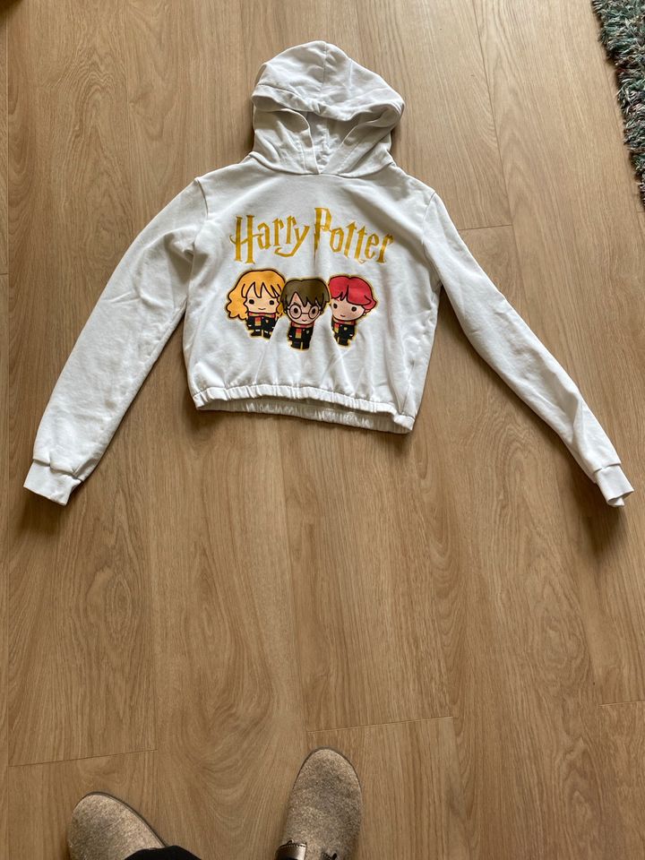 Kapuzen Pullover Harry Potter in Selzen