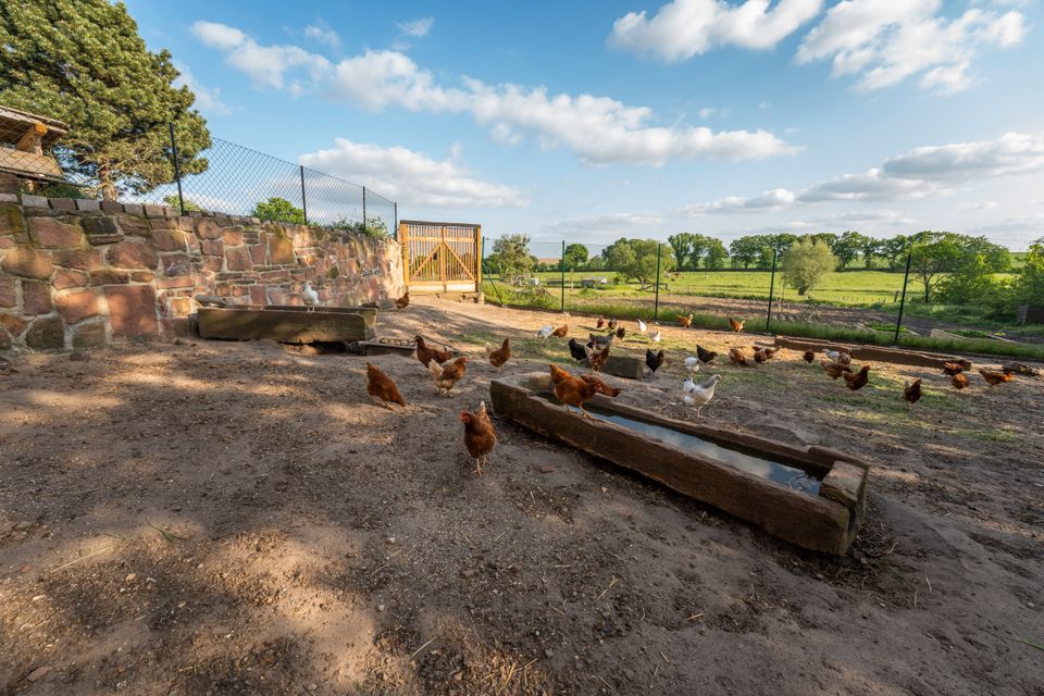 Nachhaltigkeit trifft auf Vielseitigkeit:Autarker 4-Seiten-Hof mit Land+ertragreicher Solaranlage in Ivenrode