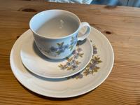 Kahla Porzellan DDR Vintage Kaffeeservice Kaffeegeschirr Blumen Brandenburg - Ludwigsfelde Vorschau