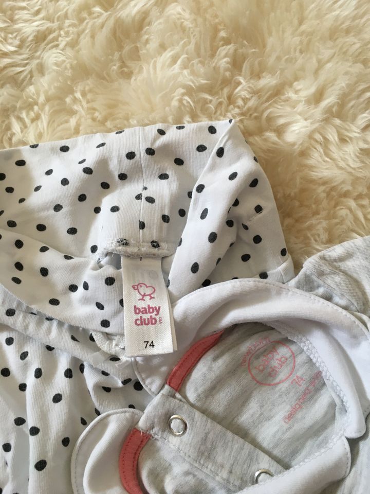 Langarmshirt mit Leggings für Baby Mädchen Gr. 74 Kätzchen in Hofheim am Taunus