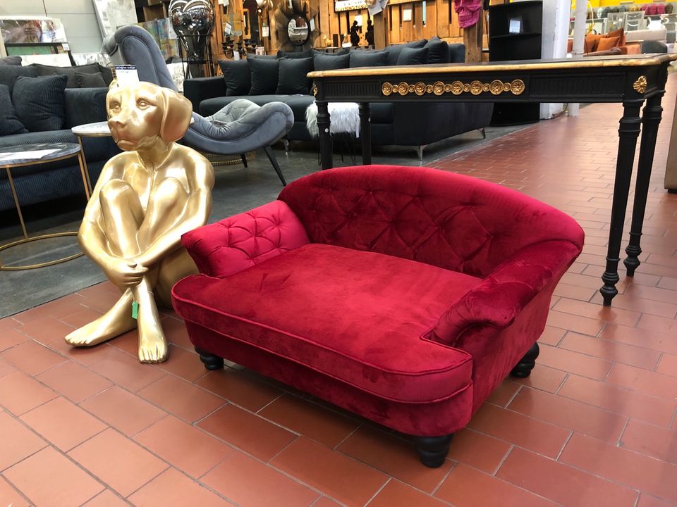 Design Hundesofa Sofa Couch Hundebett Haustiersofa Barock Samt in Neustadt  - Hohentor | eBay Kleinanzeigen ist jetzt Kleinanzeigen