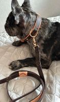 Hunde Halsband mit Leine Set, neu Niedersachsen - Vechta Vorschau