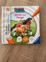 TipToi Pferde und Ponys Niedersachsen - Springe Vorschau