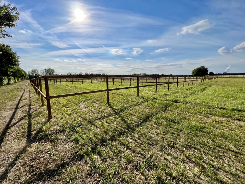 Pferdezaun Weidezaun Koppelzaun Reitplatz Pfähle Holz - 1000m SET in Olsberg