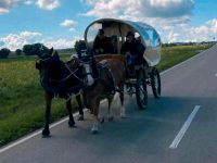 Planwagen Fahrschulwagen Zweispänner kaltblut Haflinger Kutsche Baden-Württemberg - Burladingen Vorschau