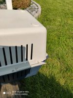 Hundebox/ Transportbox Nordrhein-Westfalen - Extertal Vorschau